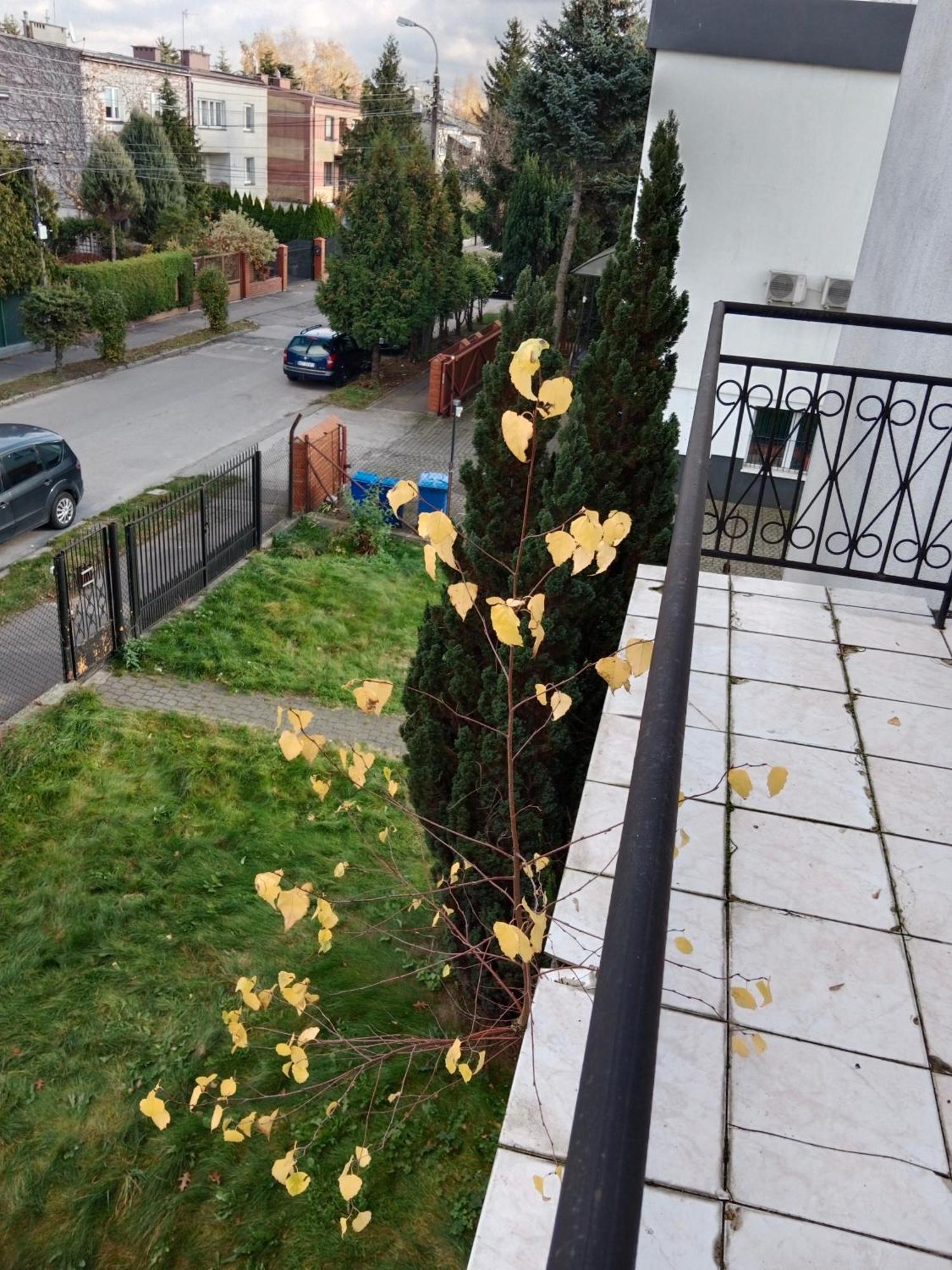 La Madriguera Bed and Breakfast Raszyn Εξωτερικό φωτογραφία
